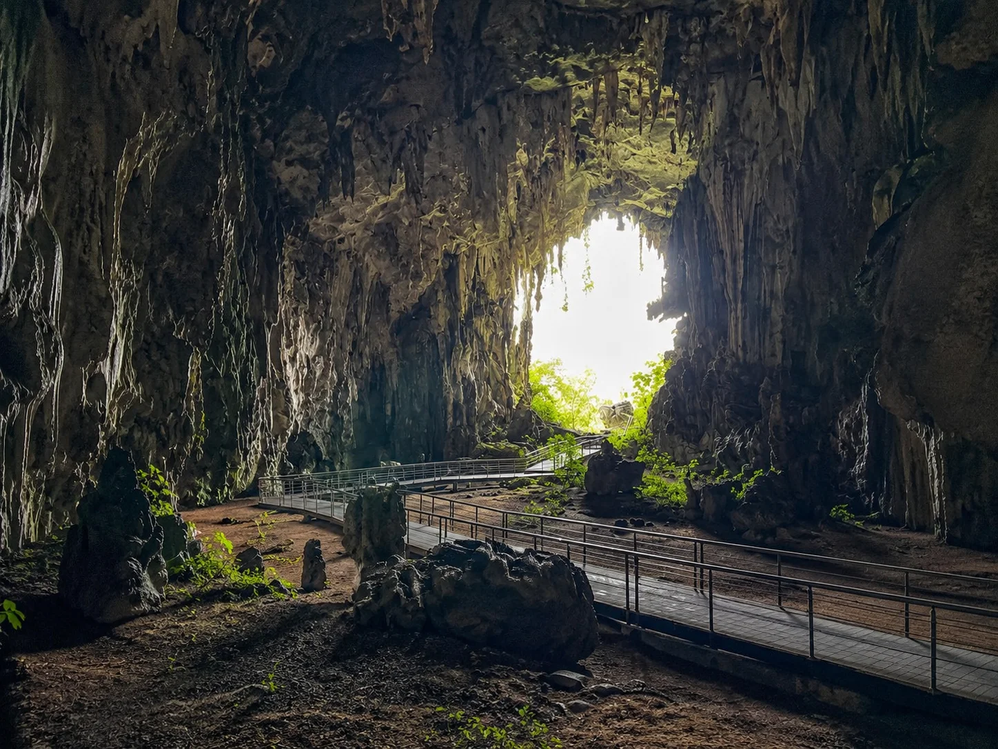 Cueva de las Lechuzas